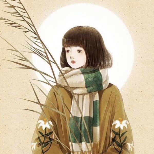 (jin)v^